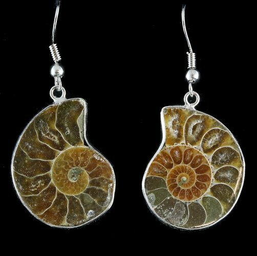 Fossil Ammonite Earrings - Million Years Old #48850